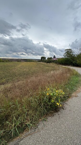 Parcul National Comana, Sat Vlad Tepes, Comuna Comana, jud.Giurgiu