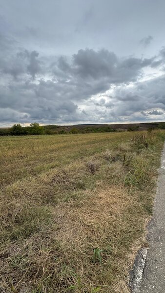 Parcul National Comana, Sat Vlad Tepes, Comuna Comana, jud.Giurgiu