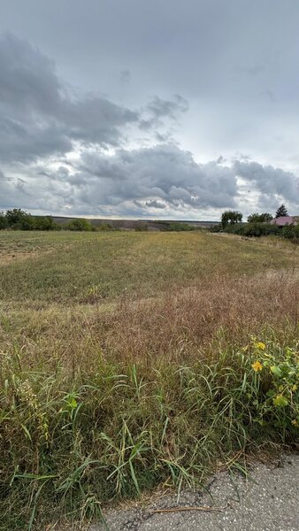 Parcul National Comana, Sat Vlad Tepes, Comuna Comana, jud.Giurgiu