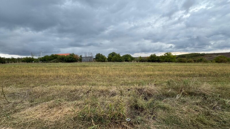 Parcul National Comana, Sat Vlad Tepes, Comuna Comana, jud.Giurgiu