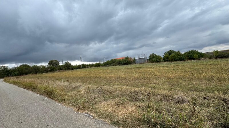 Parcul National Comana, Sat Vlad Tepes, Comuna Comana, jud.Giurgiu