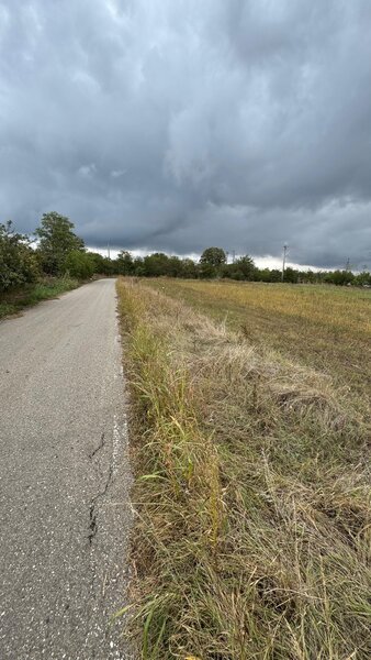 Parcul National Comana, Sat Vlad Tepes, Comuna Comana, jud.Giurgiu